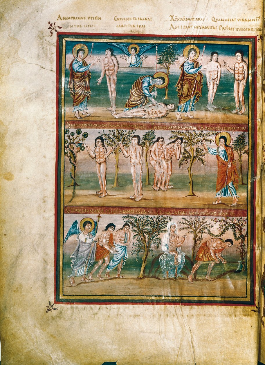 Pagina di manoscritto che rappresenta episodi della vita di Adamo ed Eva: creazione di Adamo ed Eva. Il peccato originale. Espulsione dal Paradiso (miniatura) da French School