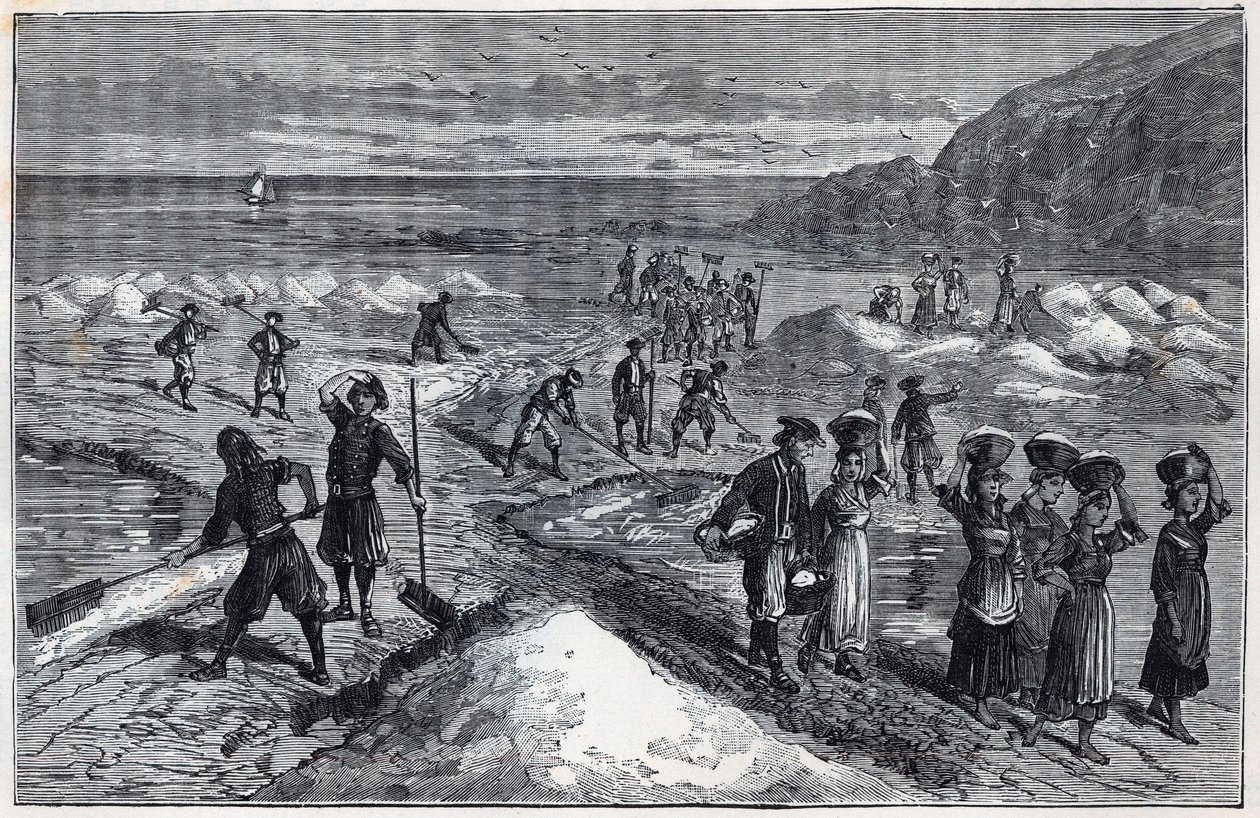 Saline della Bretagna nel XIX secolo - Incisione in "Scienze portate alla gratitudine dei grandi - fisica e chimica" di Alexis Clerc - Fine XIX secolo - Collezione privata da French School