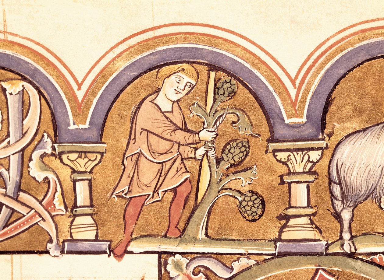 Marzo: Innesto degli alberi, dal Salterio di Santa Elisabetta da French School