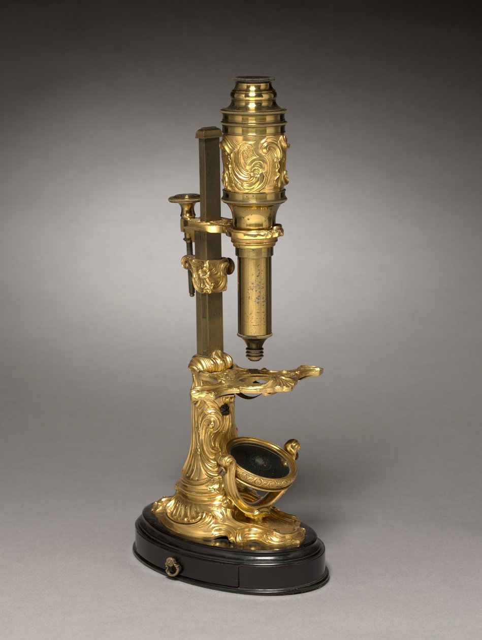 Microscopio, c.1745-1765 da French School