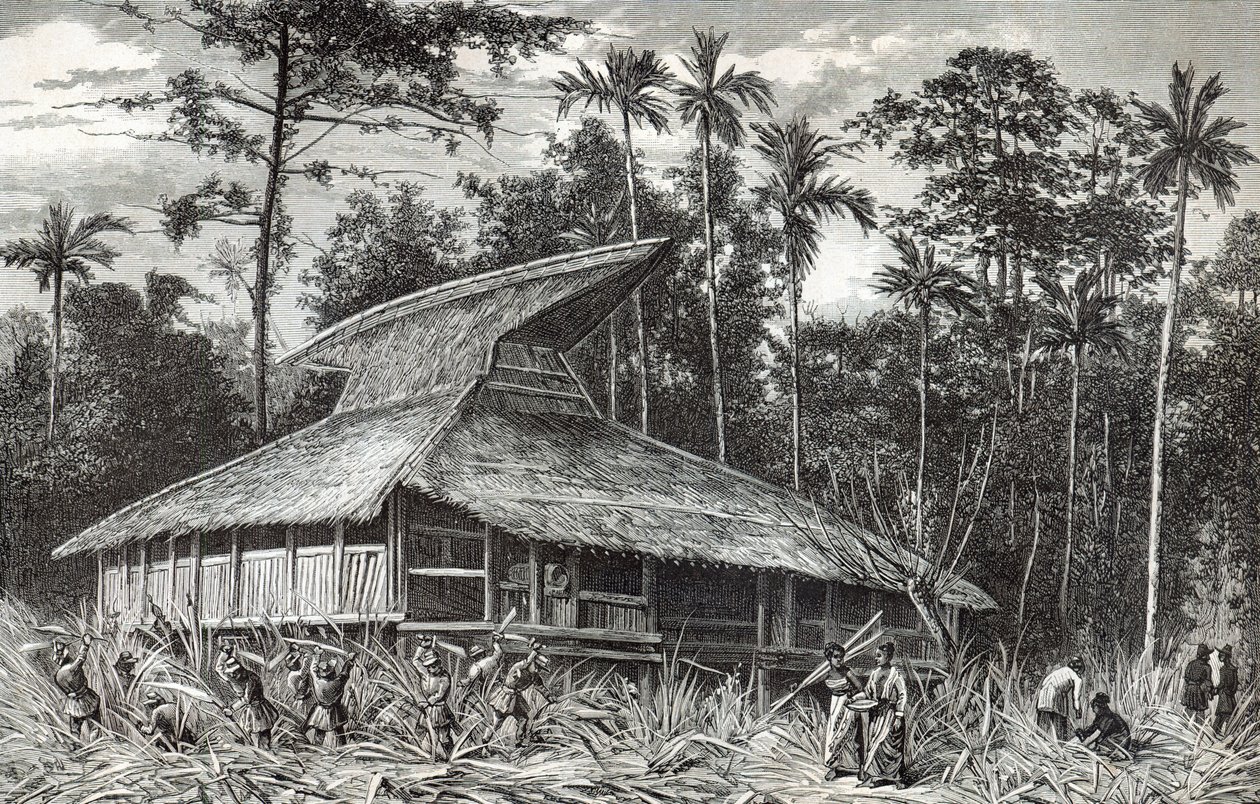 Moschea a Dodinga, Nuova Guinea, illustrazione da Le Tour du Monde, 1879 da French School