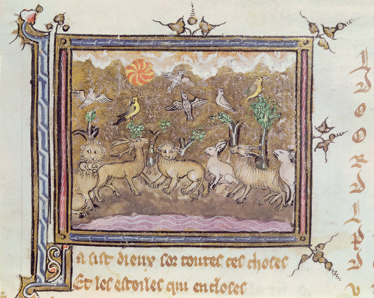 Ms 1044 fol.18 La Creazione degli Animali, da Ovide Moralise scritto da Chretien Legouais da French School
