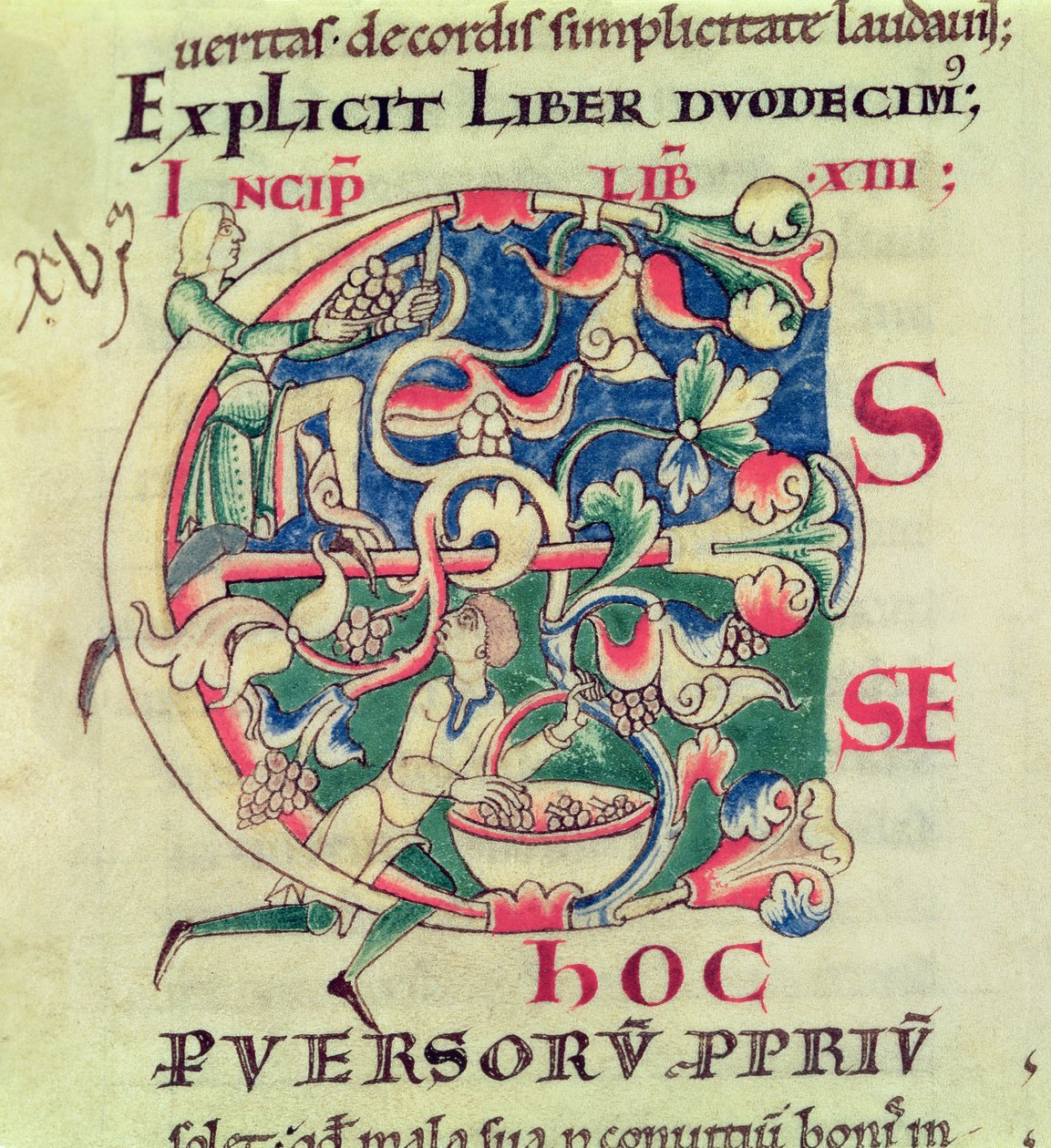 Ms 173 f.32 Iniziale istoriata E raffigurante la vendemmia, da Moralia in Job di Papa Gregorio Magno da French School