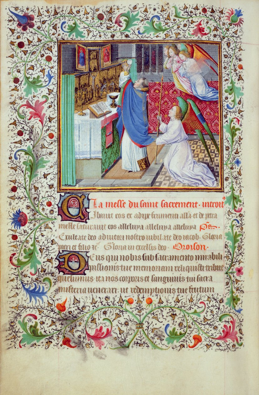 Ms 3-1954, f.193v: Preparazione dell