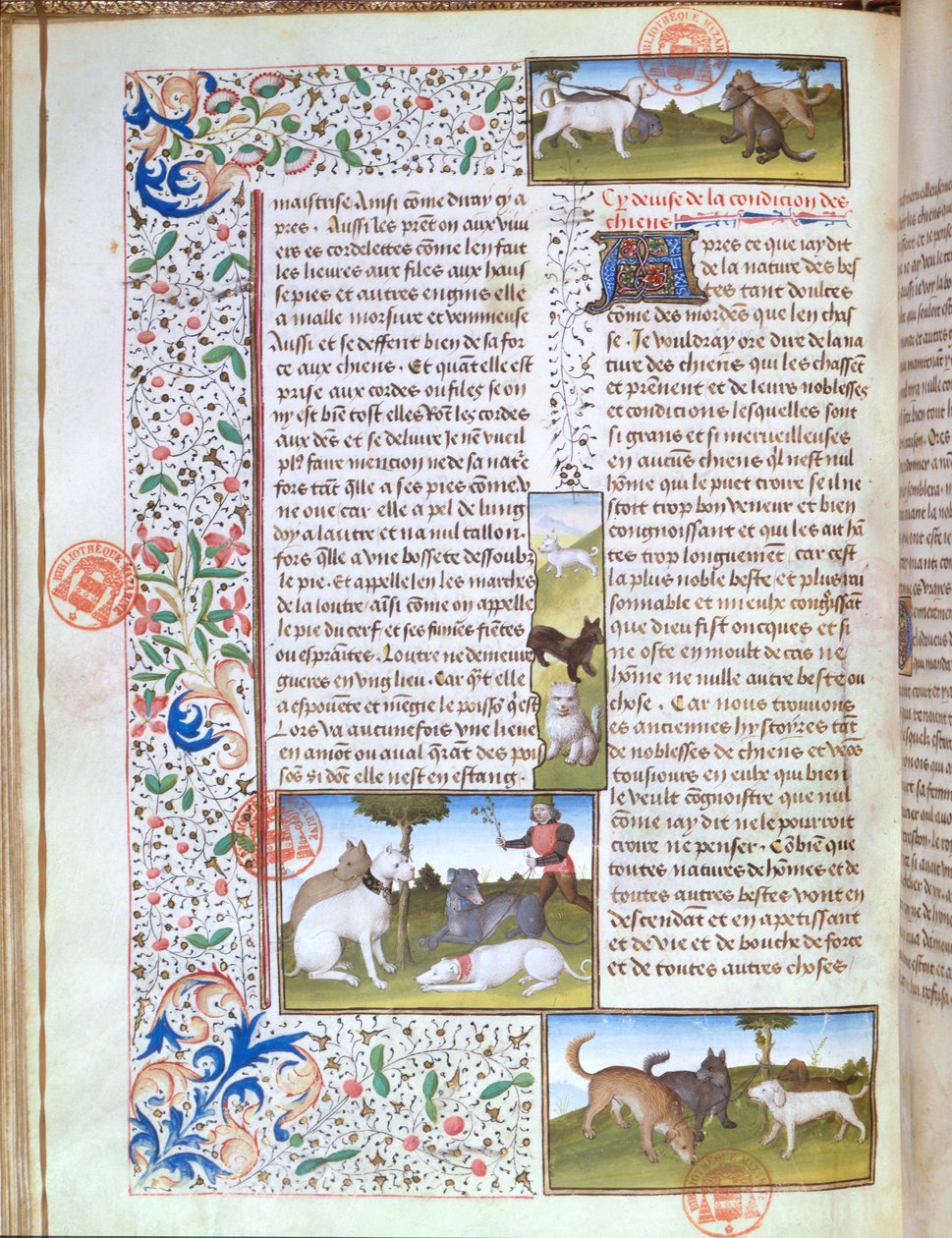 Cani da caccia, dal Livre de la Chasse di Gaston Phebus de Foix (1331-91) da French School