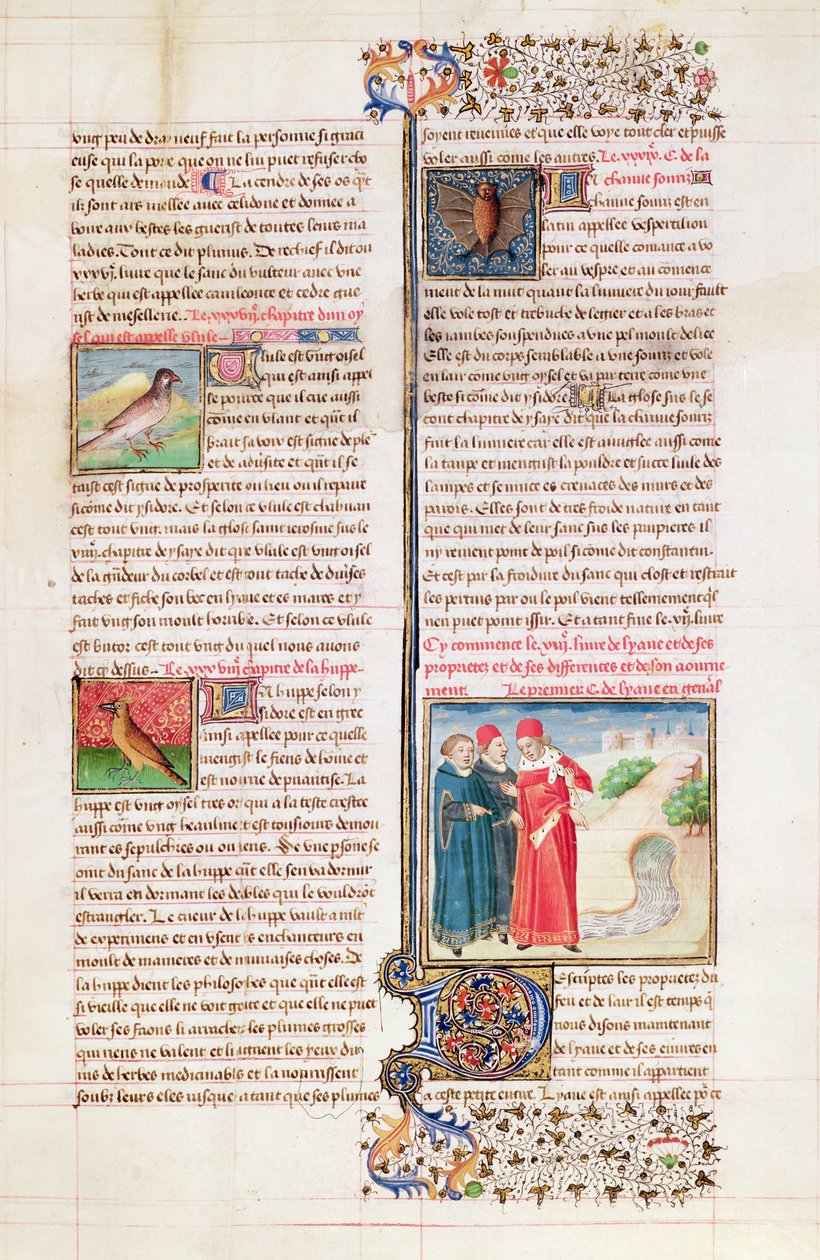 Ms 399 fol.149 Le proprietà della tartaruga, dell