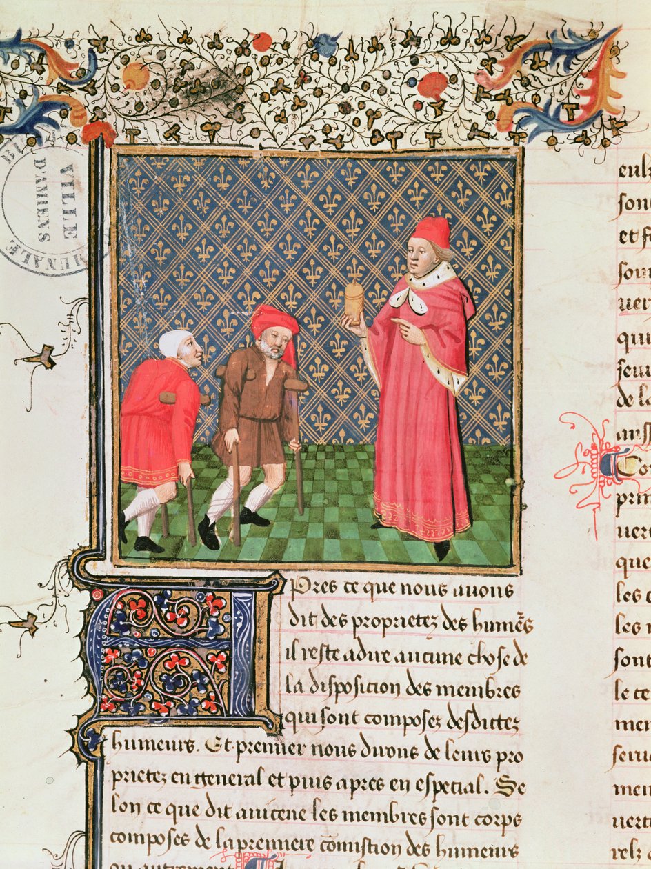 Ms 399 fol.35v Mendicanti, dal Livre des Proprietes des Choses di Barthelemy l