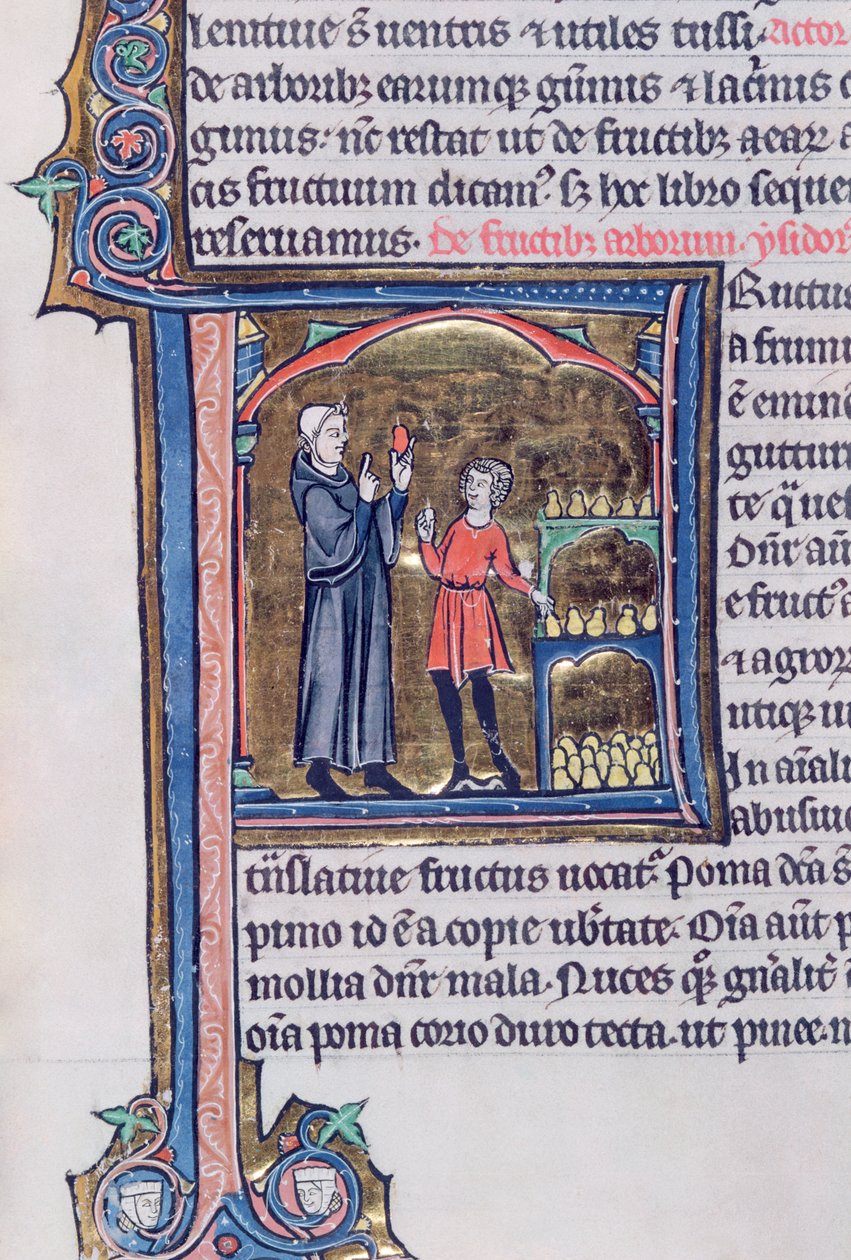 Ms 426 fol.135 Insegnamento del miglior modo di conservare le pere, da Le Miroir de la Nature di Vincent de Beauvais da French School