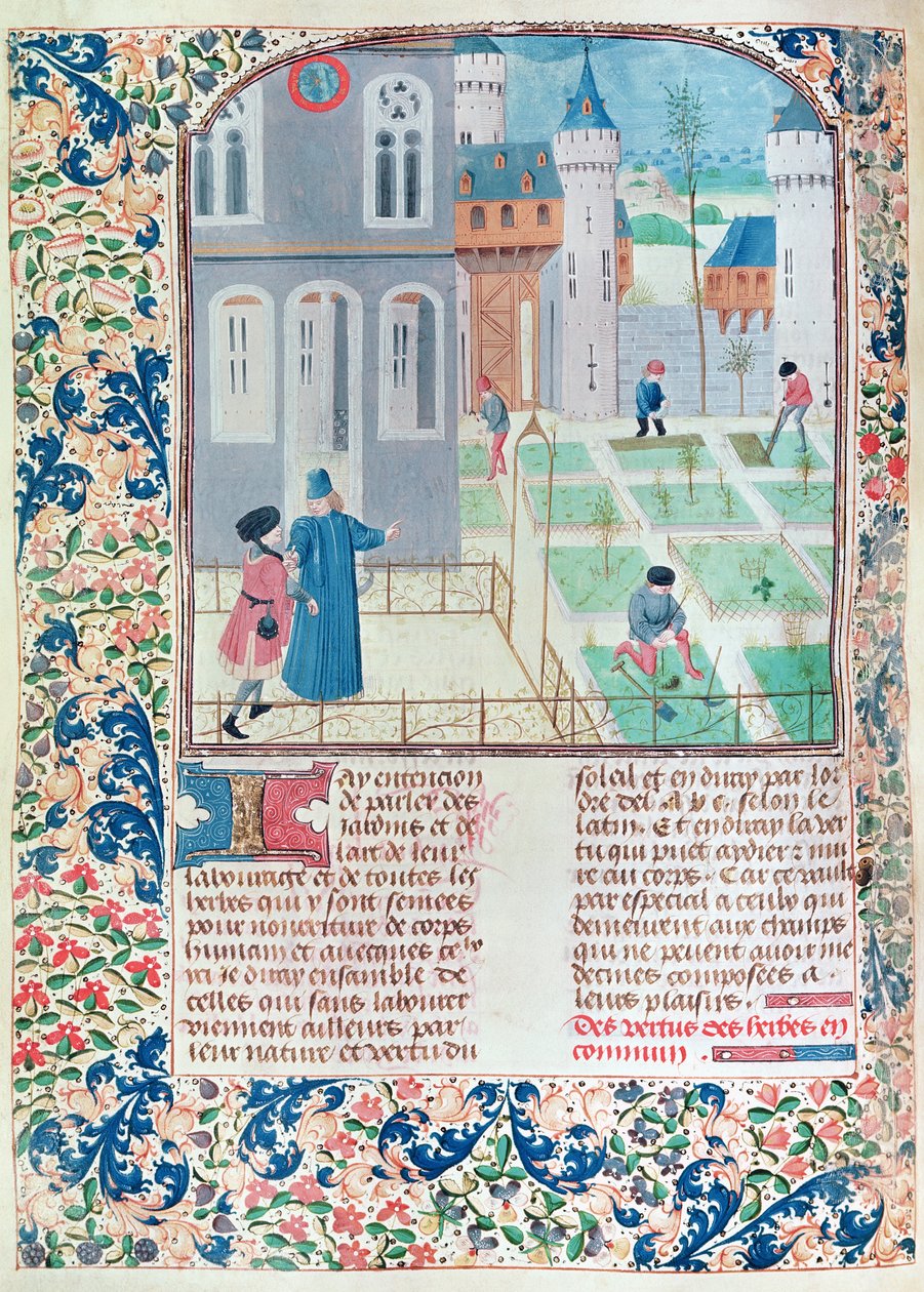 Ms 5064 f.151v Il giardino, illustrazione da Le Livre des Prouffitz Champestres di Pietro de Crescenzi (1230-132021) da French School