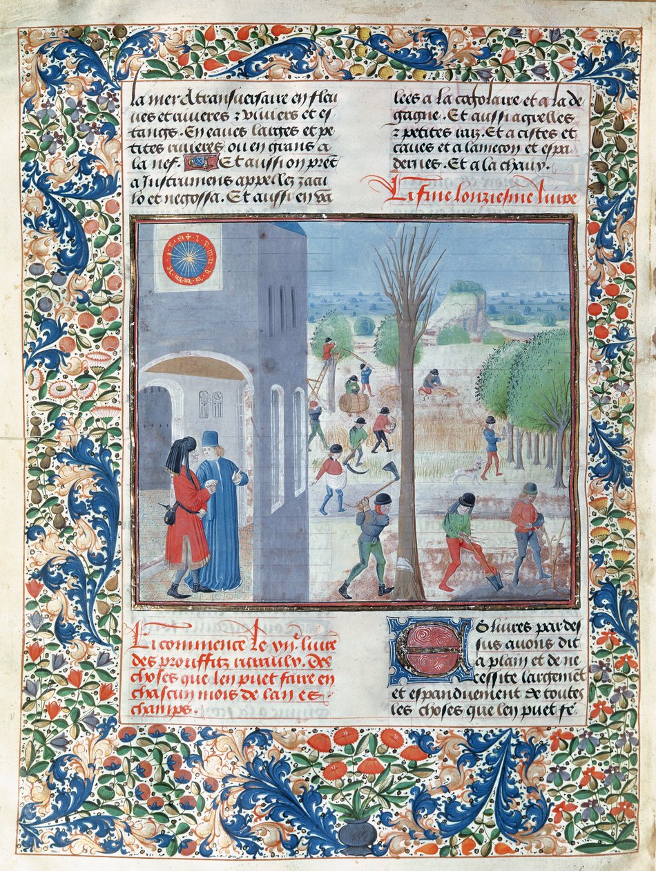 Ms 5064 f.299v Occupazioni per ogni mese dell