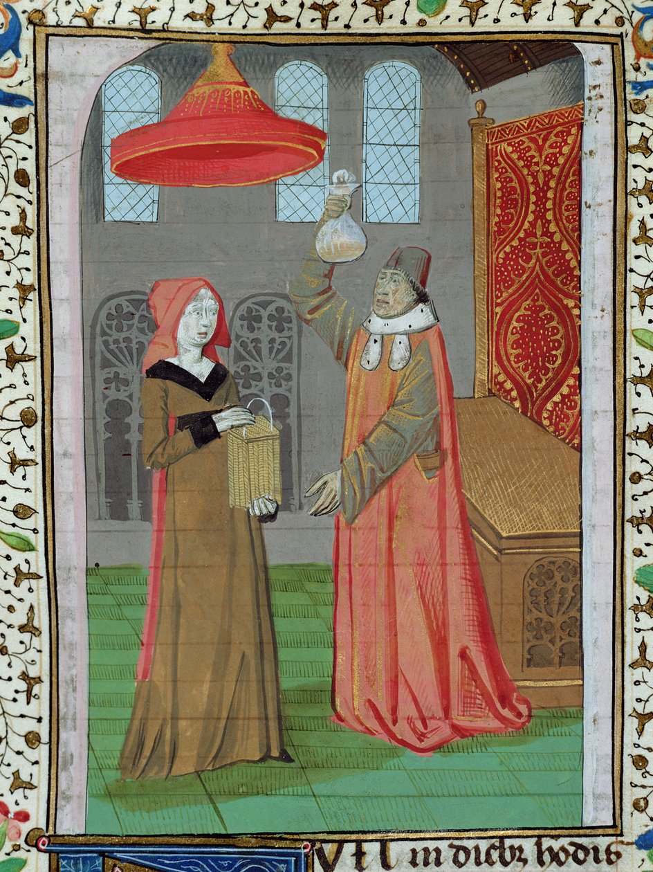 Ms H 7 fol.164r Un medico esamina l