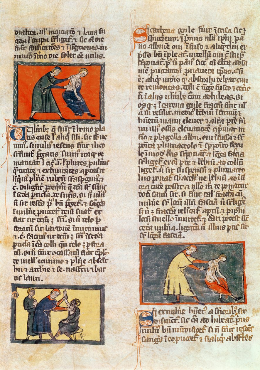 Ms H 89 fol.17r Chirurgia, da un