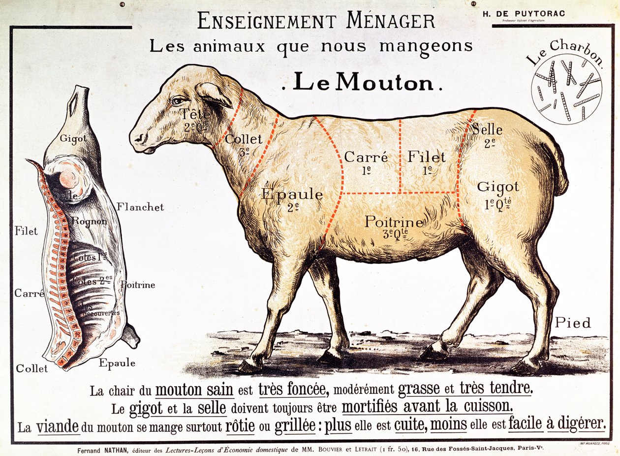 Montone: diagramma che raffigura i diversi tagli di carne da French School