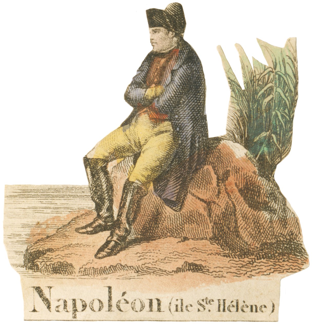 N come Napoleone | French School | Stampa d'arte