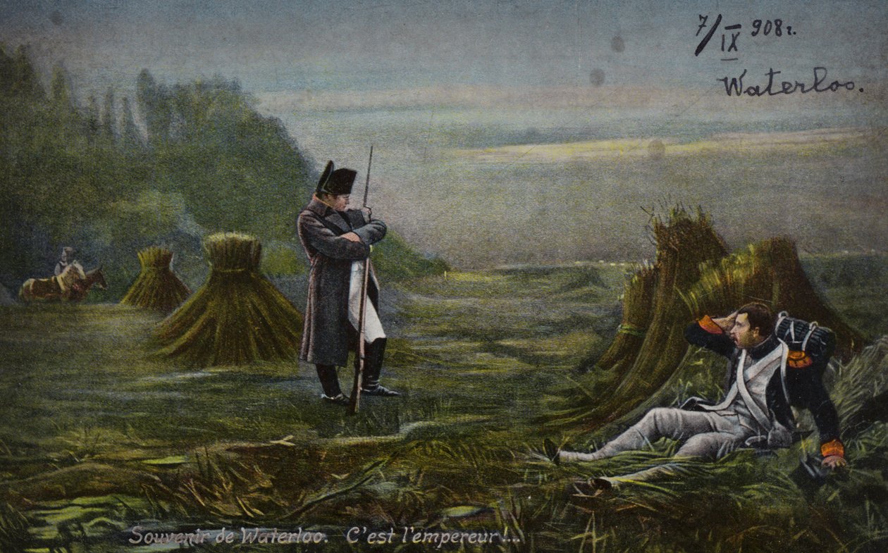 Napoleone a Waterloo (litografia a colori) da French School