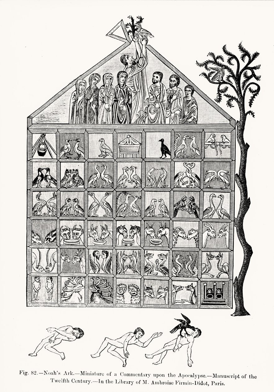 Arca di Noè, miniatura da un Commentario sull