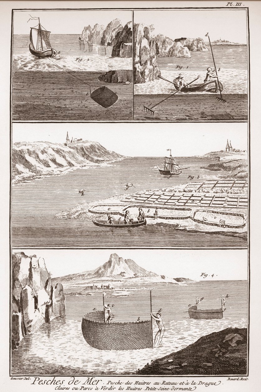 Pesca delle ostriche - 