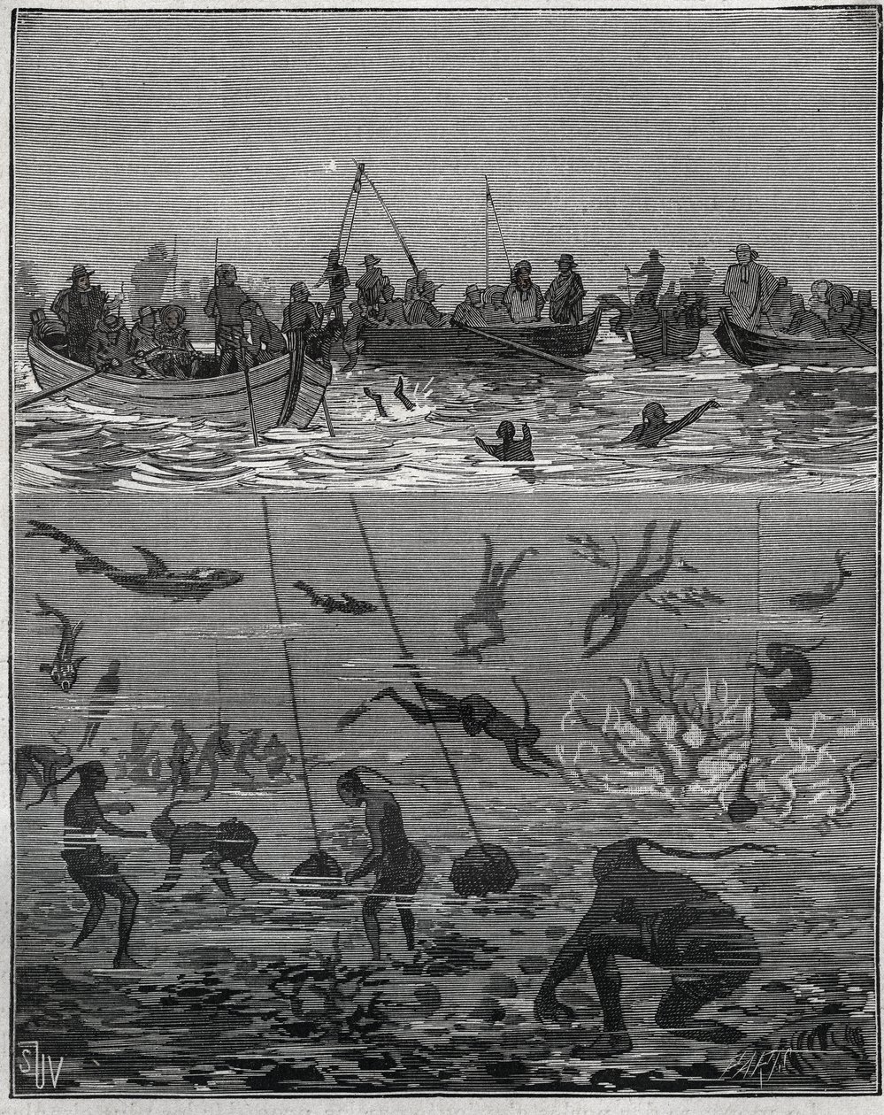 Pescatori di perle a Ceylon (attuale Sri Lanka) nel XIX secolo. Incisione del 1885 in "Les arts et métiers illustrés" di Adolphe Bitard da French School