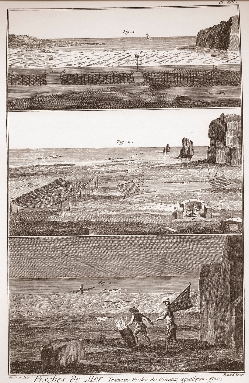 Pesca di mare - Trameau - Pesca di uccelli acquatici - "The Great Encyclopedie, ou Dictionnaire Raisonne des Sciences, des Arts et des Metiers" (Enciclopedia o Dizionario delle Scienze, Arti e Professioni) di Denis Diderot (1713-1784) e Jean d