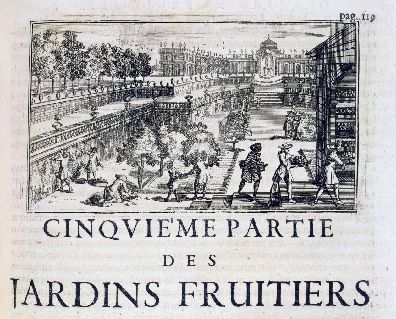 Piantare alberi da frutto, da Le Parfait Jardinier, ou Instruction pour les Jardins Fruitiers et Potager, di Jean de la Quintinye, pubblicato 1695 da French School