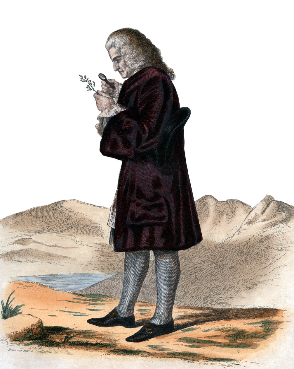 Ritratto di Bernard de Jussieu, naturalista francese da French School