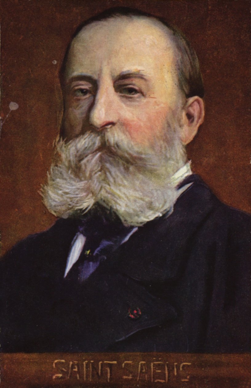 Ritratto di Camille Saint-Saens (litografia a colori) da French School