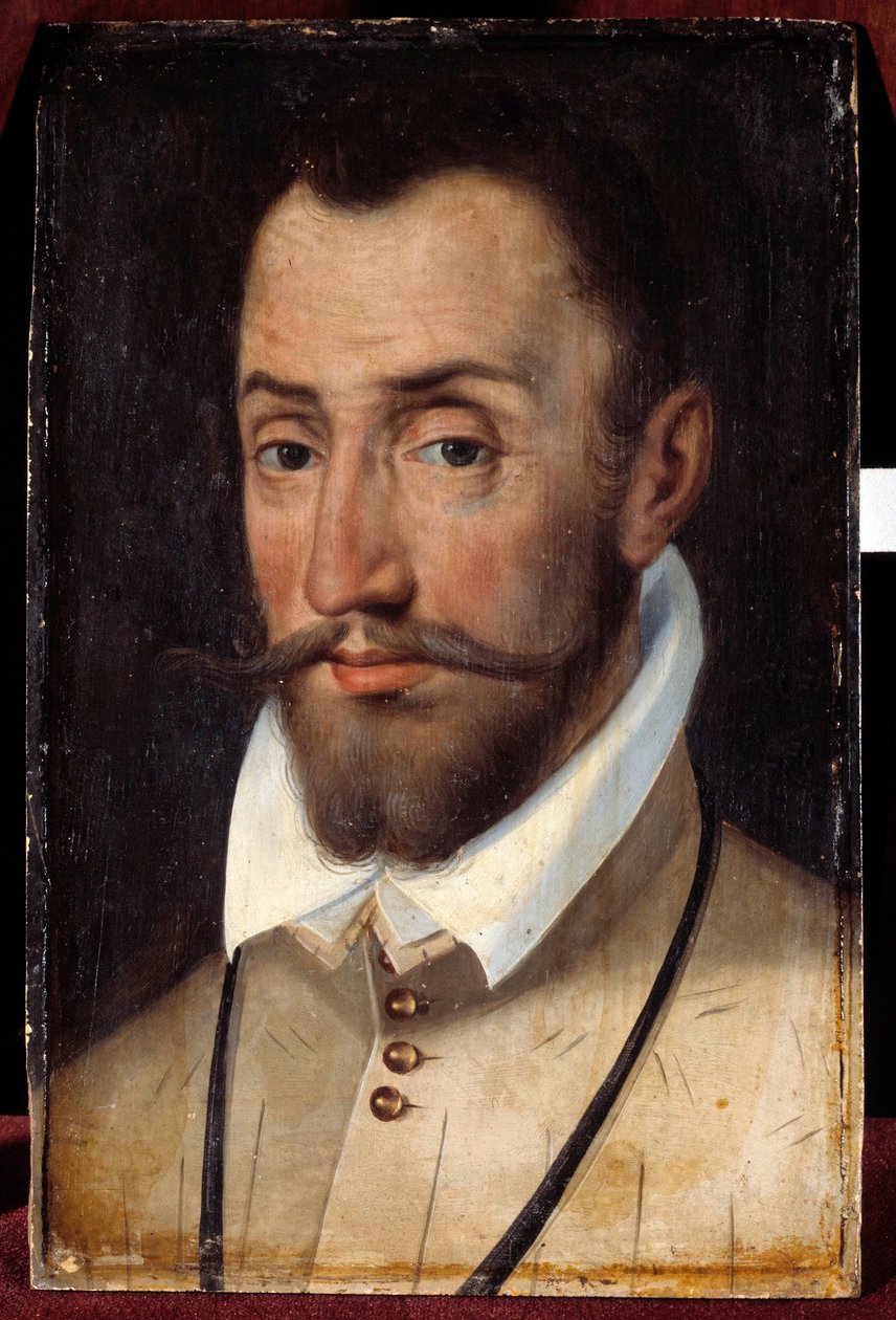 Ritratto di François de Coligny, signore di Andelot, colonnello generale della fanteria (1521-1569). Dipinto della scuola francese da French School