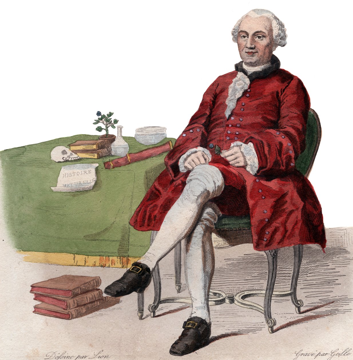 Ritratto di Georges Louis Leclerc, Conte di Buffon (1707-1788), naturalista francese da French School