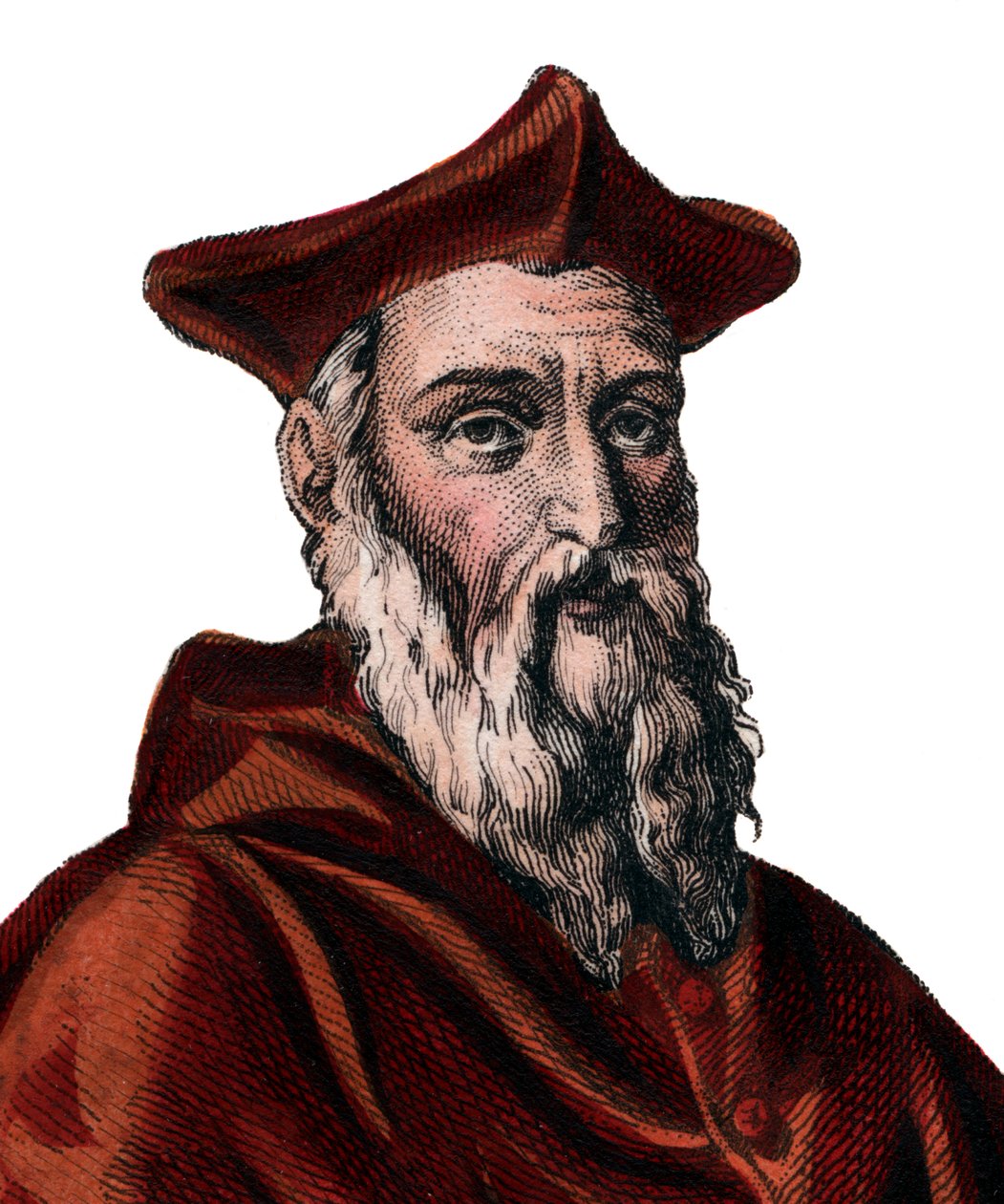 Ritratto di Jean du Bellay (1492-1560) da French School