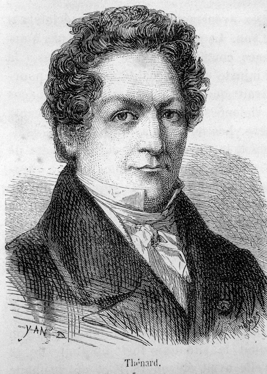 Ritratto di Louis Jacques Thenard (1777-1857), chimico francese da French School