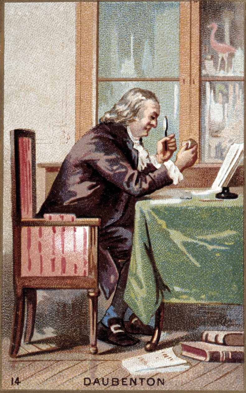Ritratto di Louis Jean Marie Daubenton (1716 - 1800), naturalista francese da French School