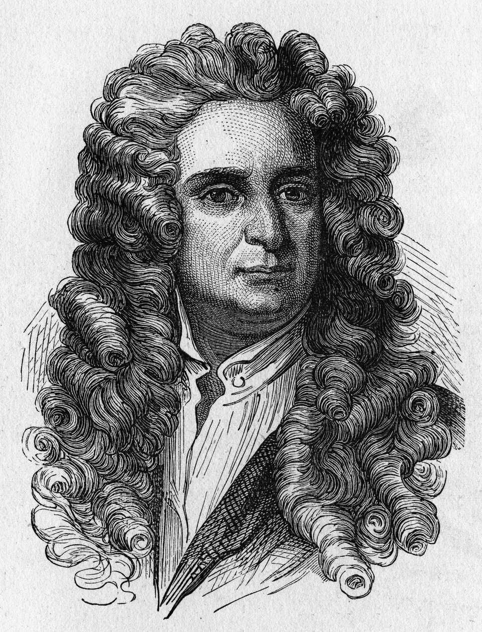 Ritratto di Newton - in 