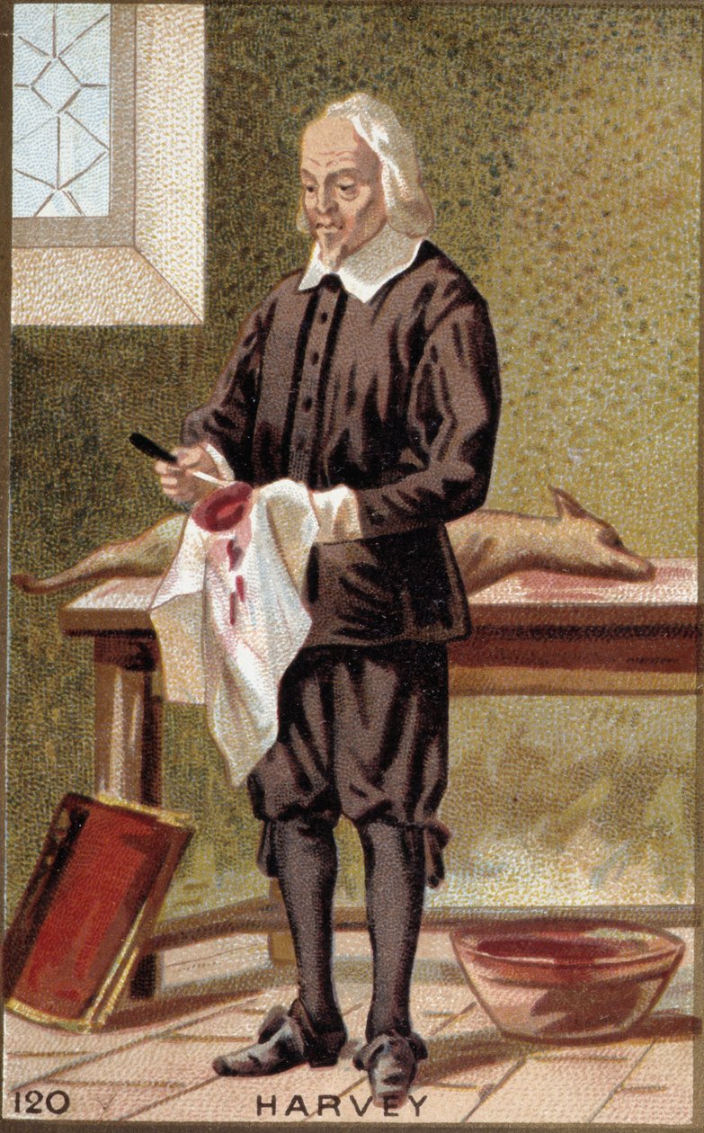Ritratto di William Harvey (1578-1657), medico inglese da French School