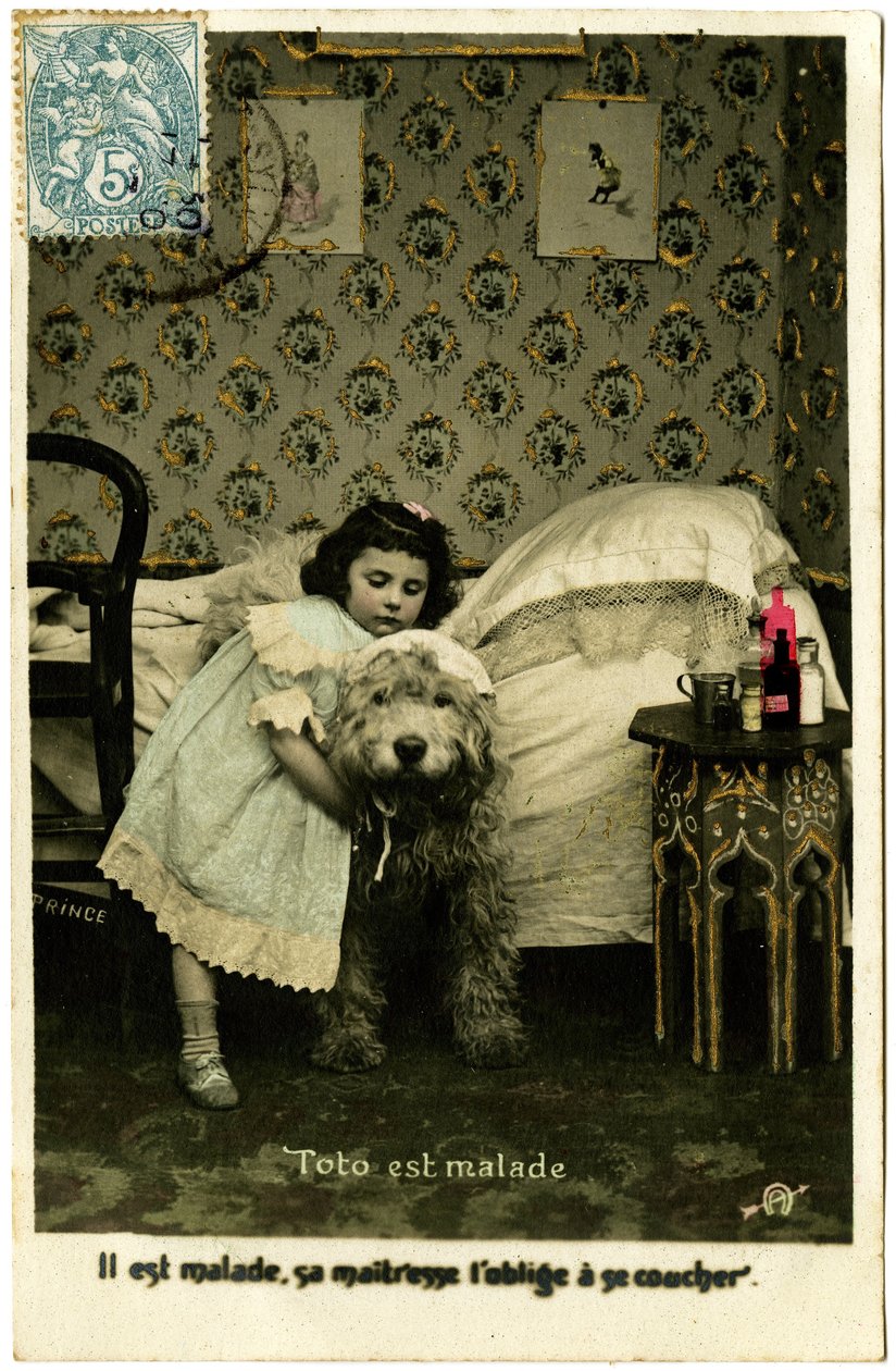 Cartolina: Toto è Malato, la Sua Padrona lo Costringe a Letto, Prince da French School