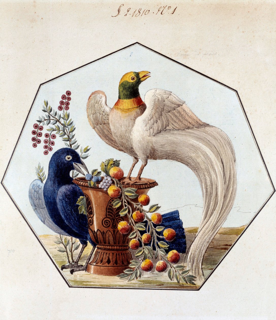 Progetto per il tavolo degli uccelli in porcellana di Alexandre Brongniart. 1810 Sèvres, archivi della Manifattura di Sèvres da French School