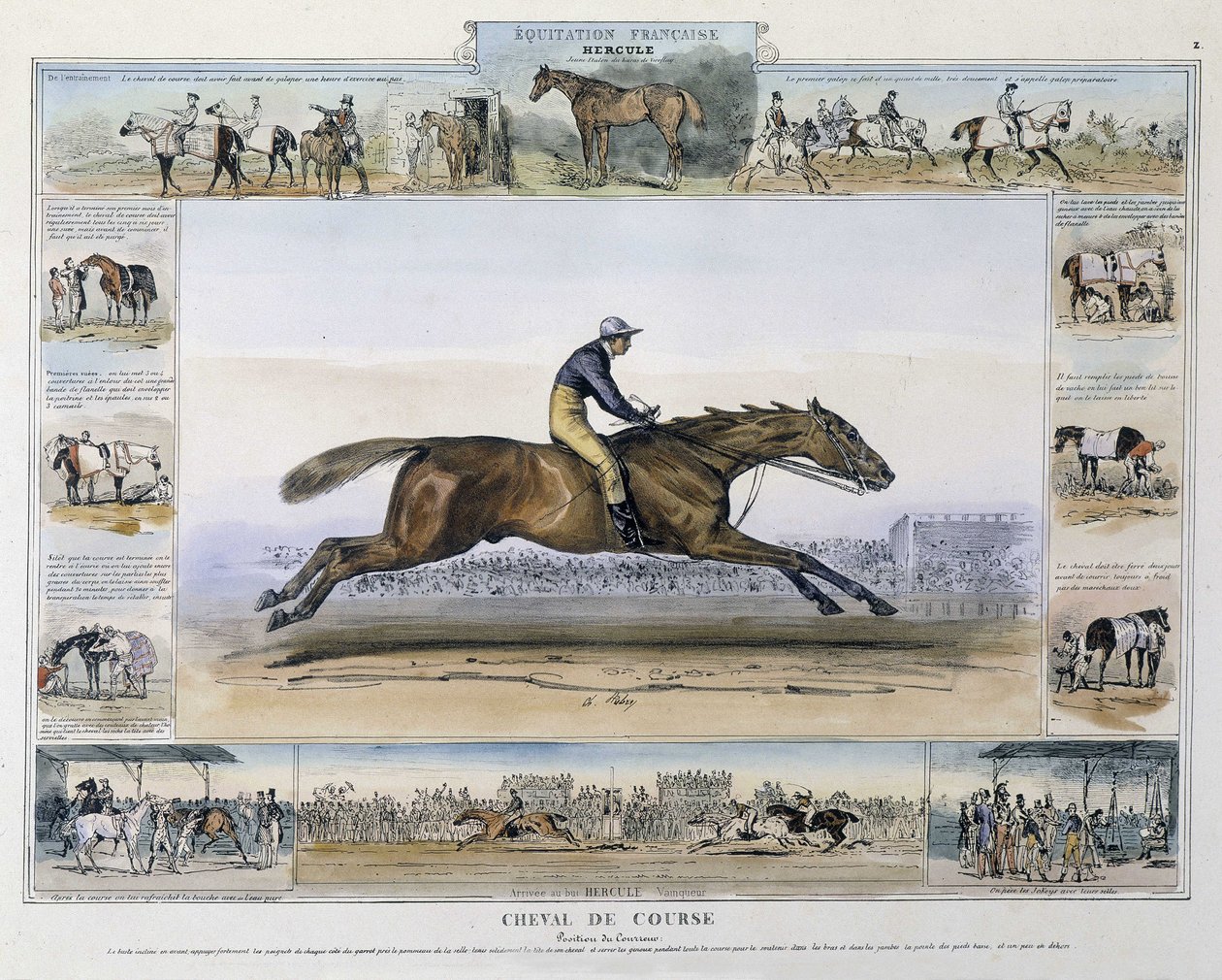 Cavallo da corsa in “Storia pittoresca dell