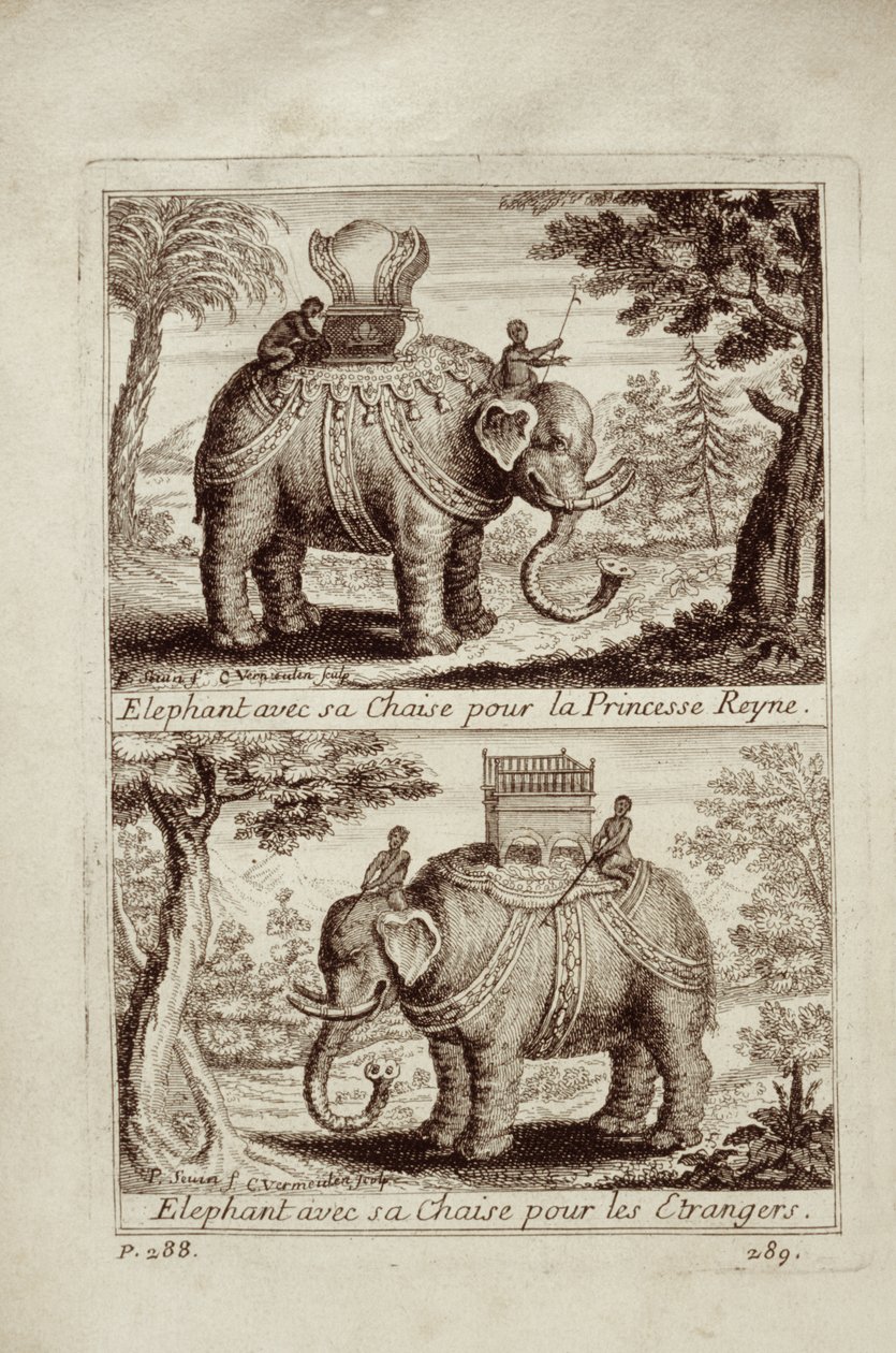 Elefanti reali, da Voyage du Siam des Peres Jesuites di Guy Tachard, 1688 da French School