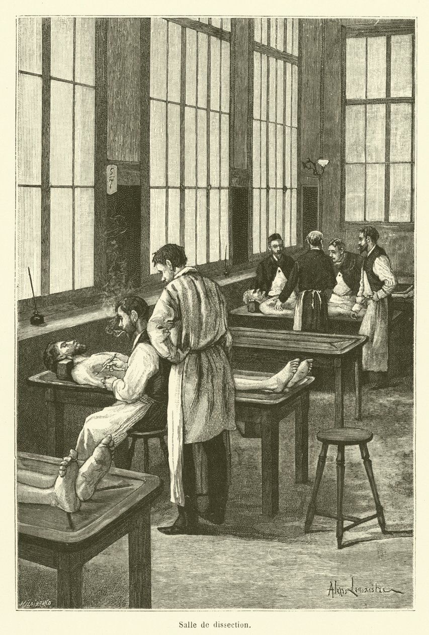 Sala di dissezione (incisione) da French School