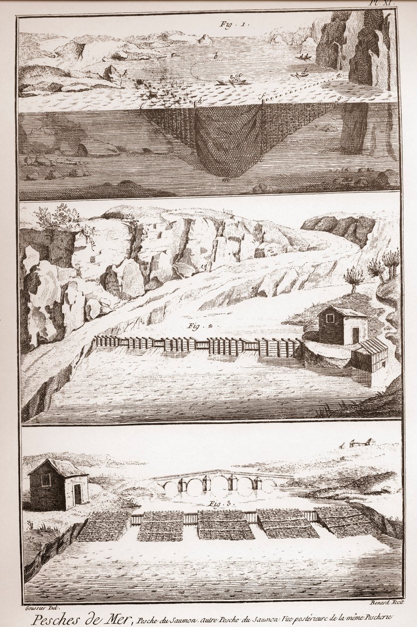 Tecniche di pesca al salmone - Enciclopedia o Dizionario delle Scienze, delle Arti e dei Mestieri di Denis Diderot (1713-1784) e Jean d