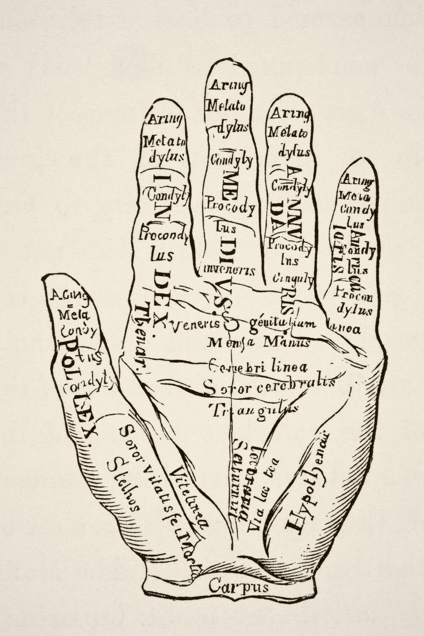Specimen della mano sinistra con le linee e le loro denominazioni oroscopiche, da 