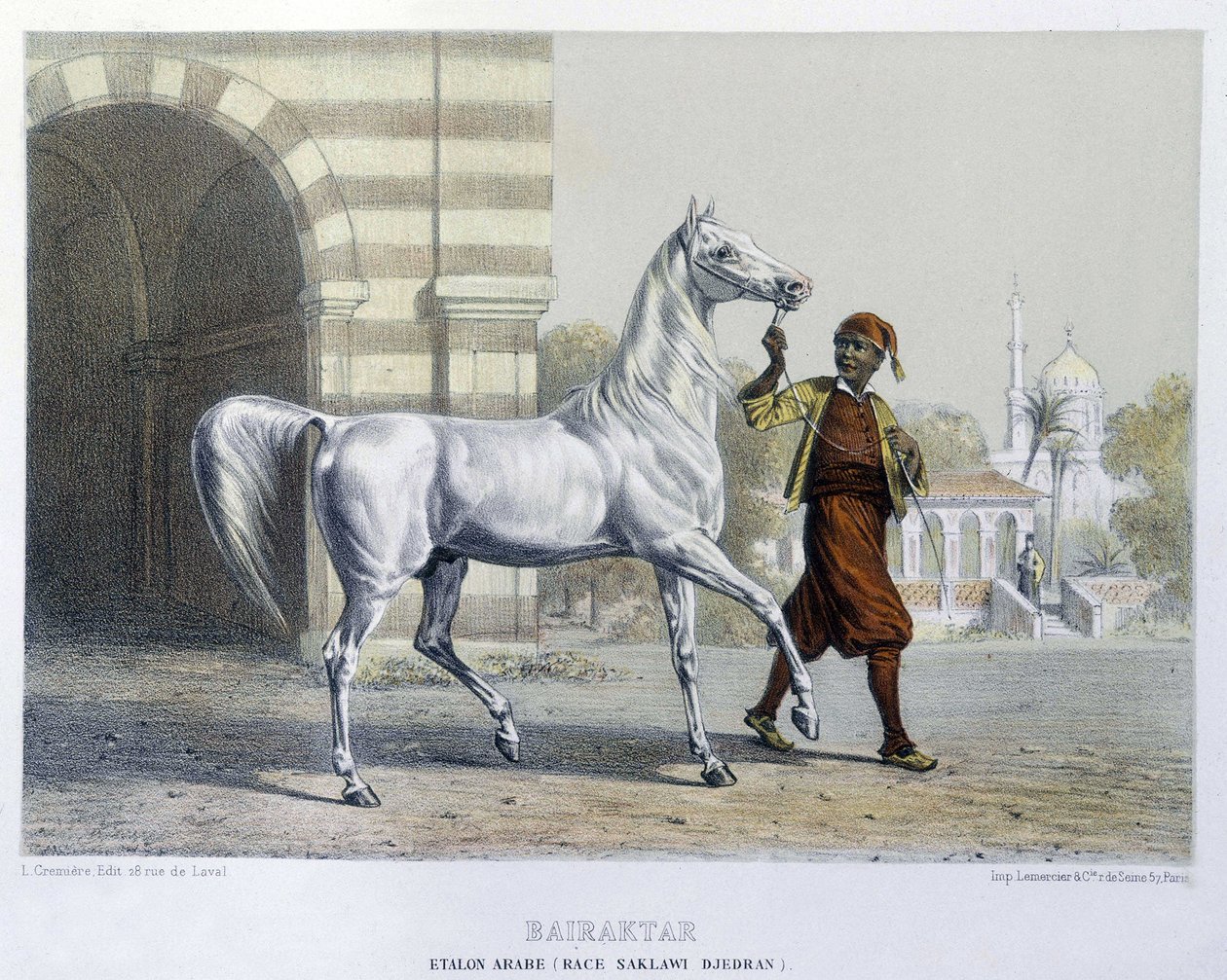 Stallone arabo, Bairaktar da French School