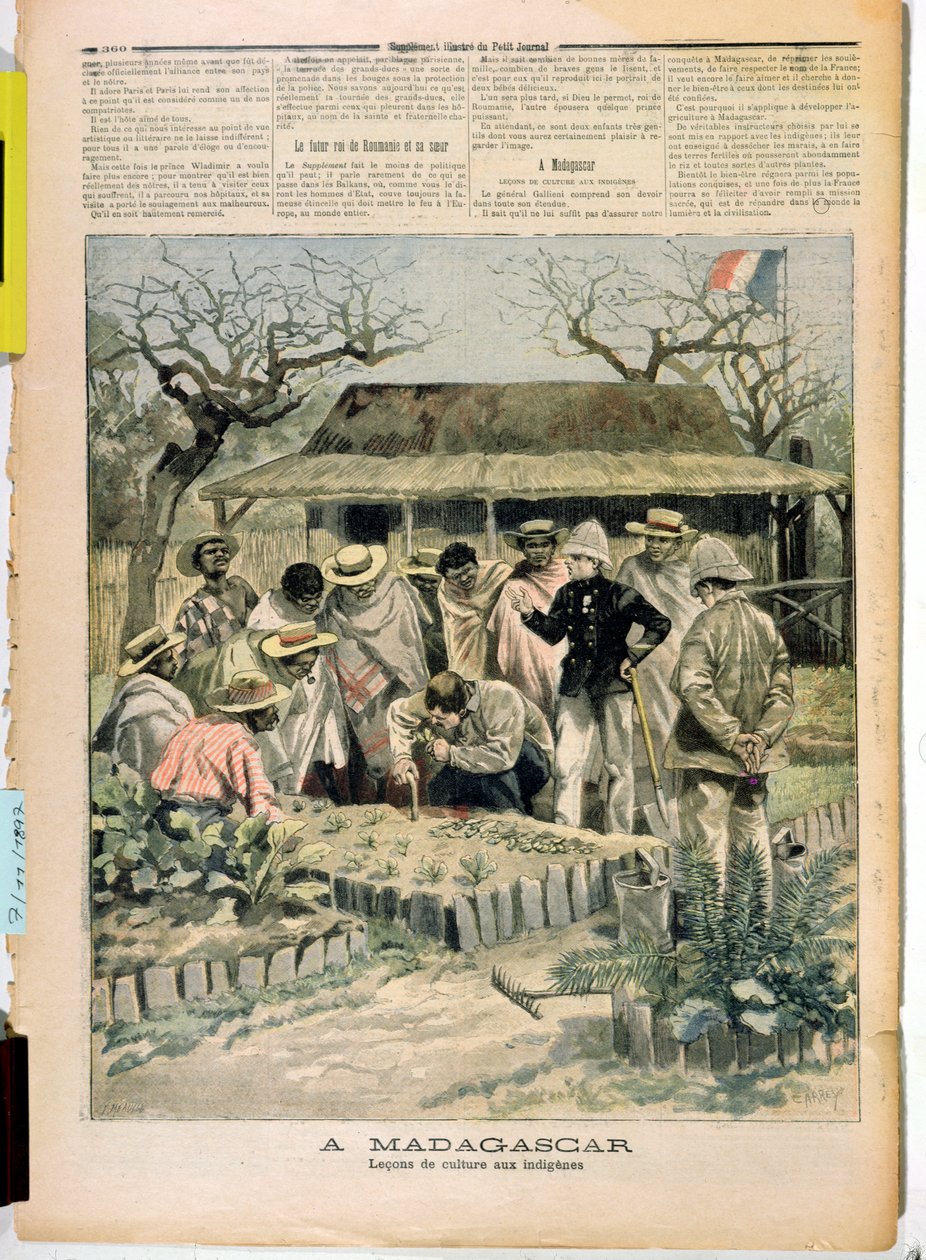 Metodi di insegnamento della coltivazione ai nativi del Madagascar, da Le Petit Journal, 7 novembre 1896 da French School