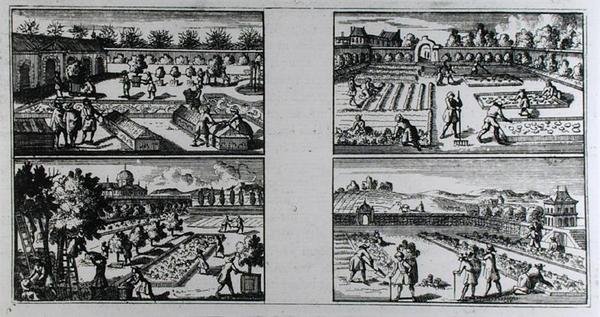 Curare un giardino, da 