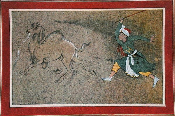 Il cammelliere arrabbiato, illustrazione da 