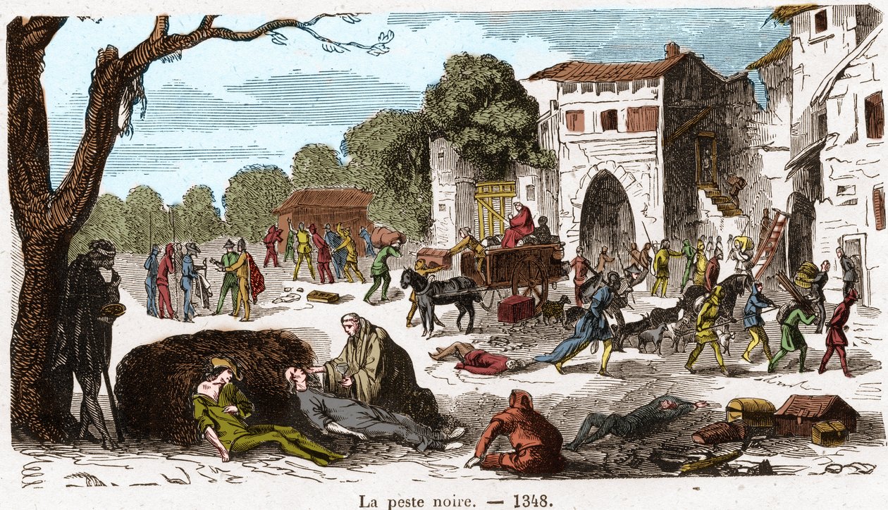 La peste nera nel 1348 - incisione in 