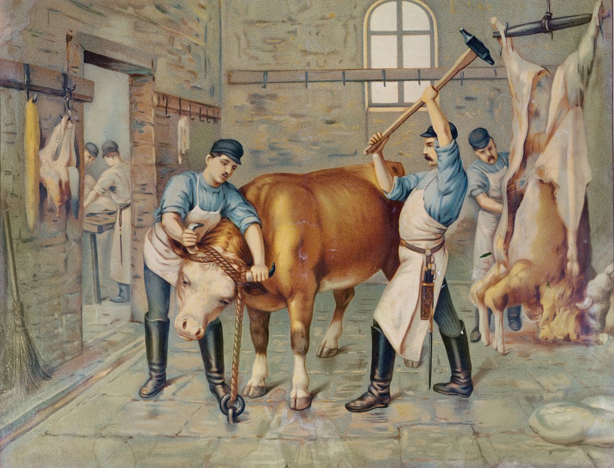 Il macellaio, XIX secolo da French School