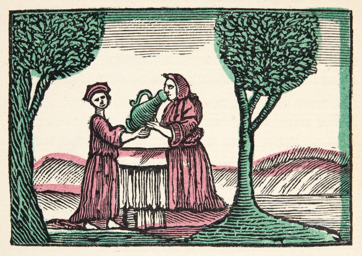 La fata da Histories or Tales of Past Times told by Mother Goose, With Morals, di M Perrault, pub. 1925 (stampa xilografica colorata a mano) da French School