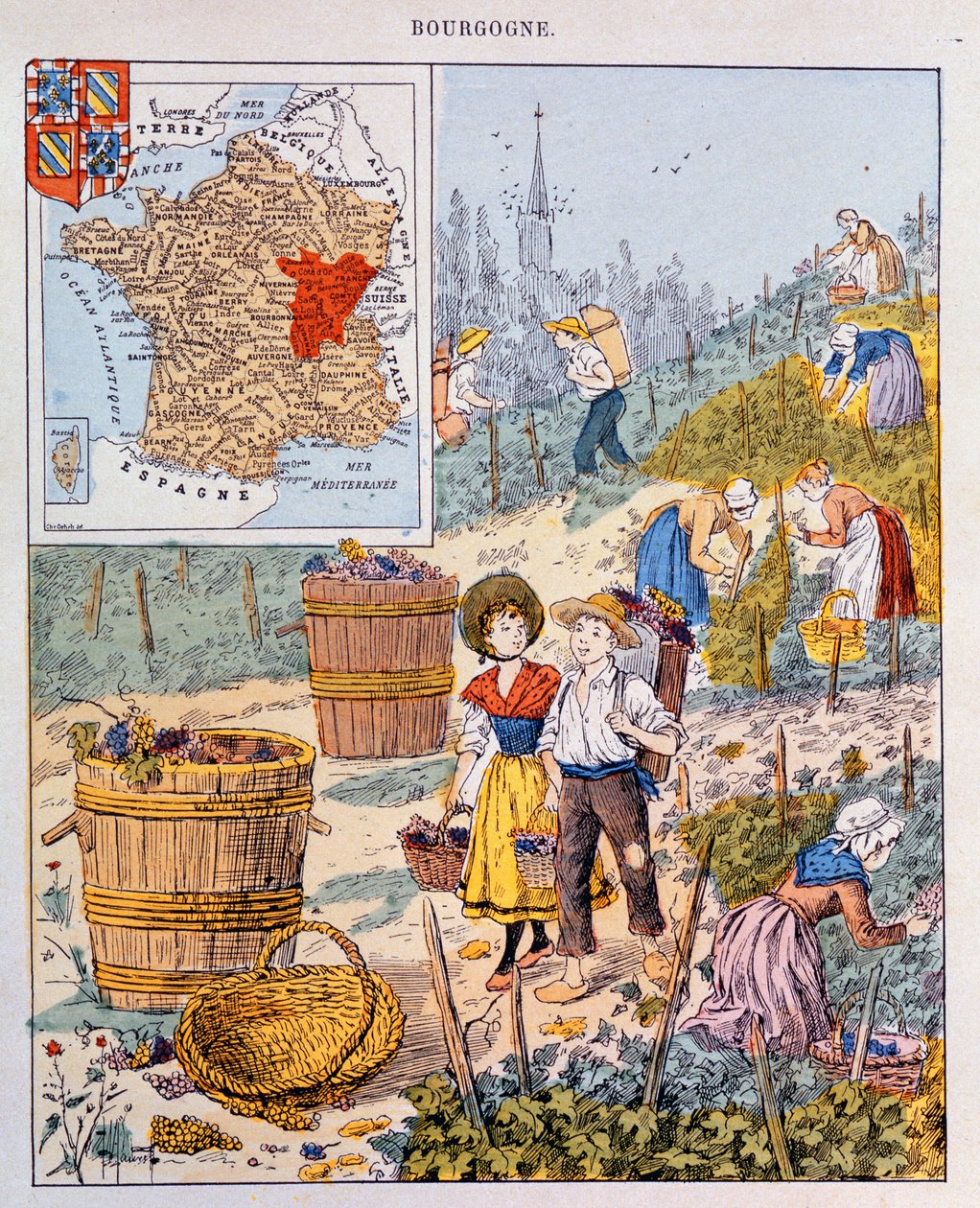 La vendemmia in Borgogna, illustrazione da un libro di testo scolastico, c.1910 da French School