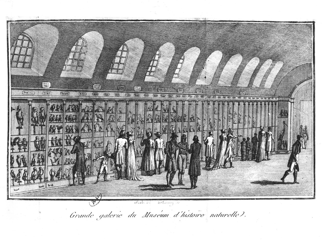La Grande Galleria del Museo di Storia Naturale a Parigi da French School