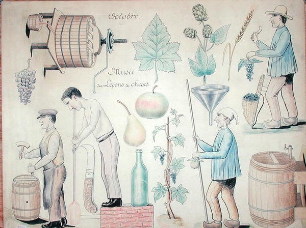 Il mese di ottobre: produzione del vino da French School